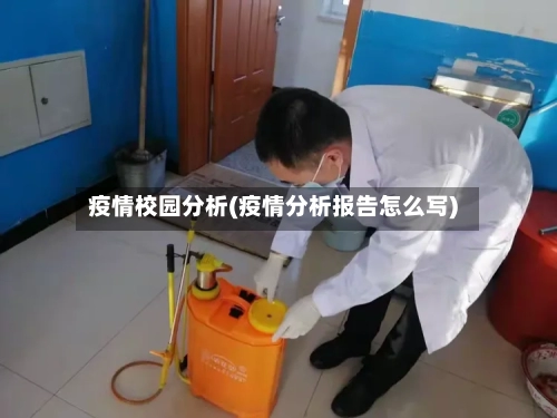 疫情校园分析(疫情分析报告怎么写)