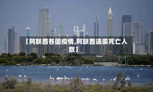 【阿联酋各国疫情,阿联酋遇袭死亡人数】