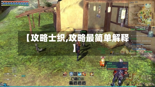 【攻略士织,攻略最简单解释】-第3张图片